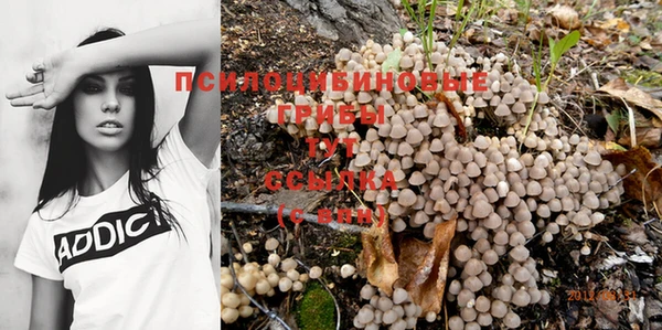 ALPHA-PVP Медвежьегорск