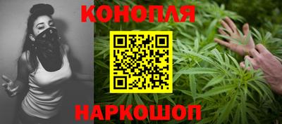 apvp Нальчик