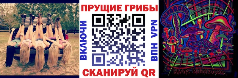 купить   Партизанск  Галлюциногенные грибы мицелий 