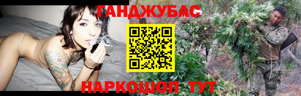 Бошки Шишки семена Партизанск